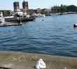 Visitor-Aktion in Oslo