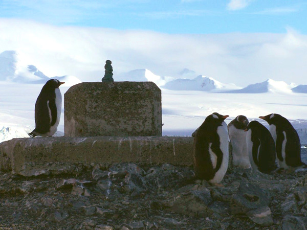 Visitor auf O'Higgins ( 63&deg; 19' 15'' S , 57&deg; 54' 03" W) vor der German Antarctic Receiving Station Ralf Reissig 